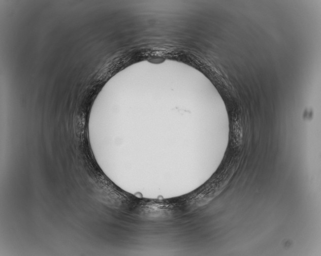X0000096180657200802151442
