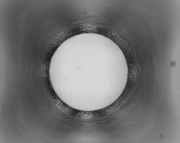 X0000096180658200802151442