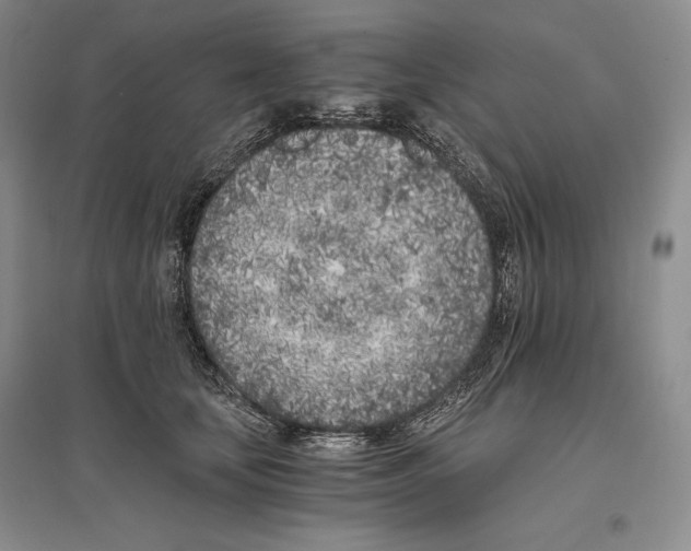 X0000096180659200802151442