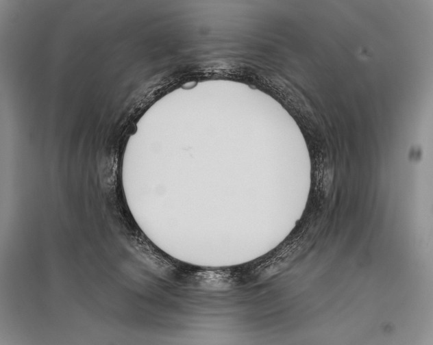 X0000096180660200802151442