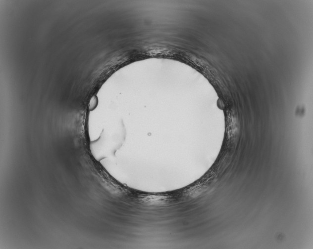X0000096180664200802151442