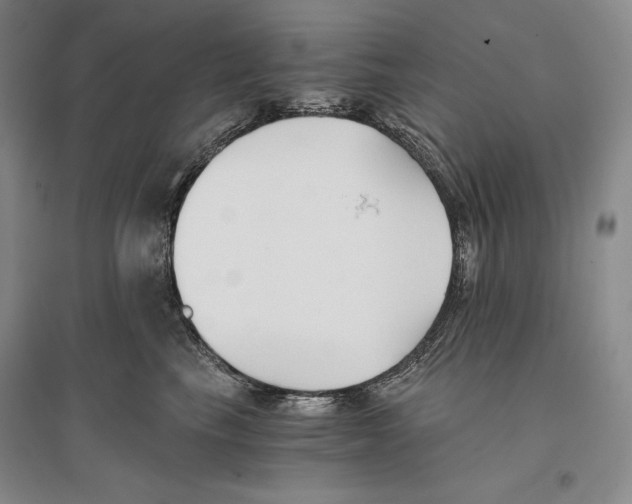 X0000096180665200802151442