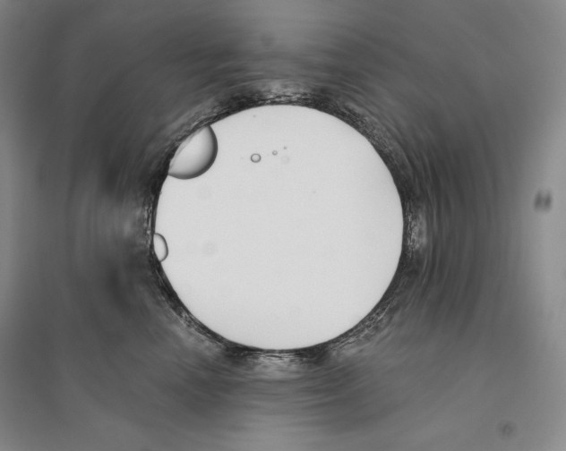 X0000096180666200802151442