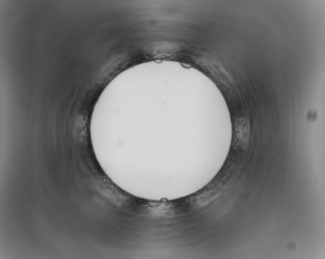 X0000096180667200802151442
