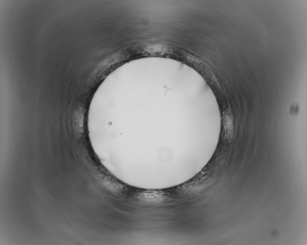 X0000096180668200802151442