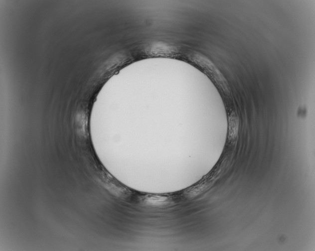 X0000096180669200802151442