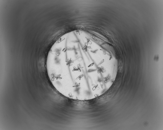 X0000096180670200802151442