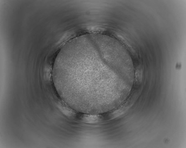 X0000096180671200802151442