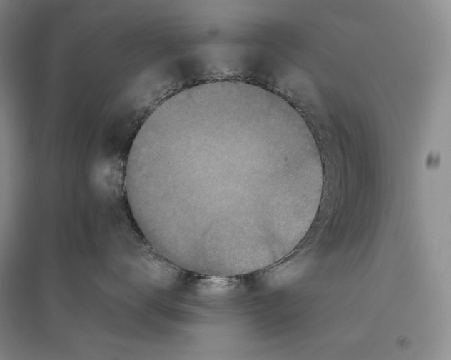 X0000096180672200802151442