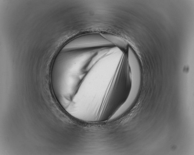 X0000096180673200802151442
