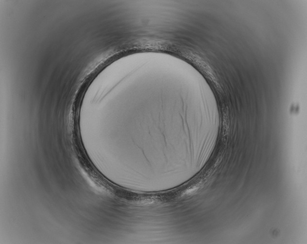 X0000096180674200802151442
