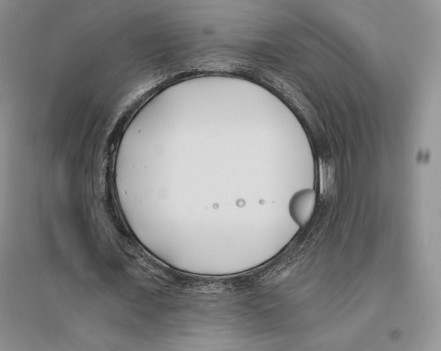 X0000096180675200802151442