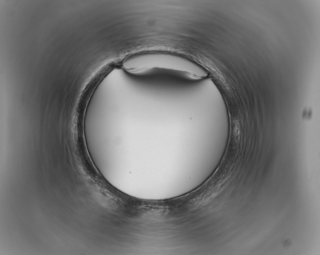 X0000096180676200802151442