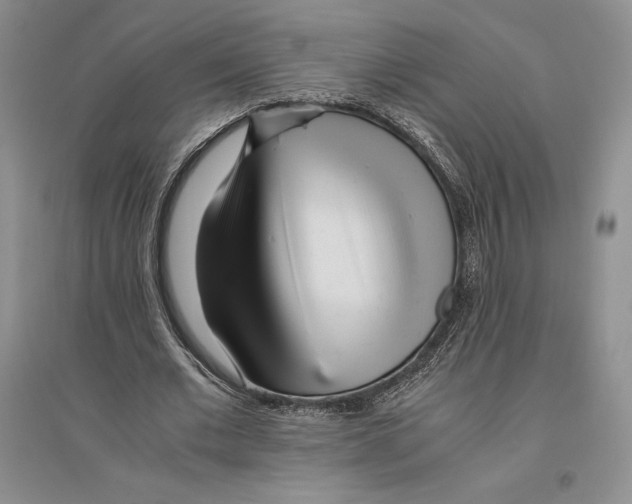 X0000096180677200802151442