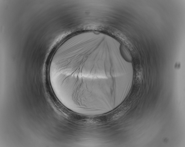 X0000096180678200802151442