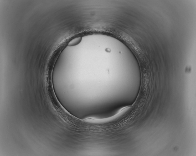 X0000096180680200802151442