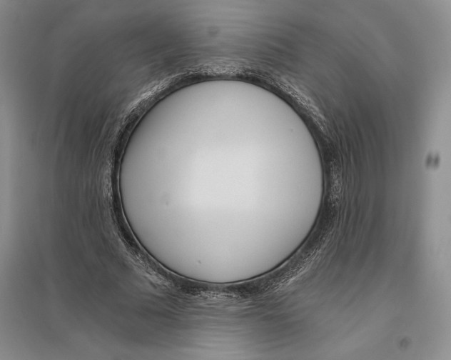 X0000096180681200802151442
