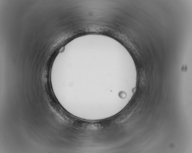 X0000096180683200802151442