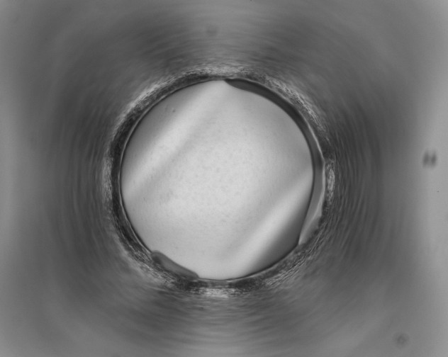 X0000096180684200802151442