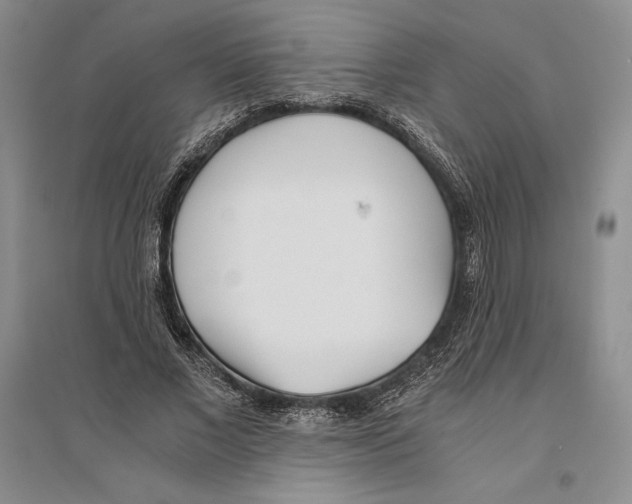 X0000096180685200802151442