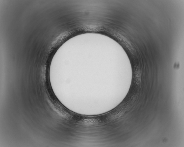 X0000096180686200802151442