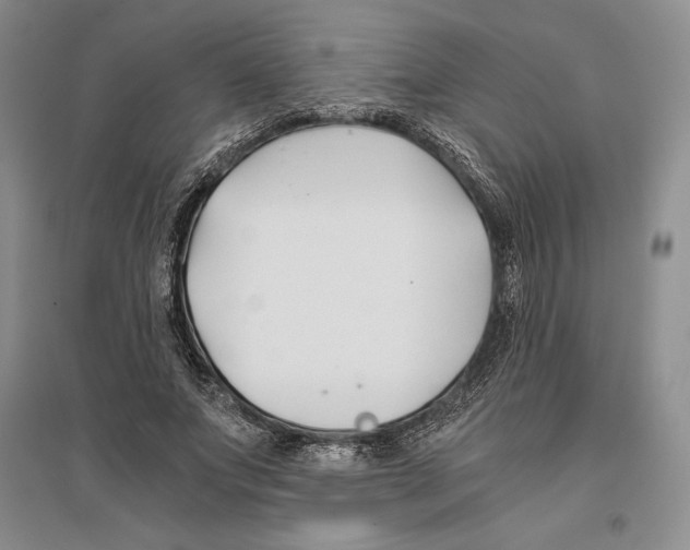 X0000096180687200802151442