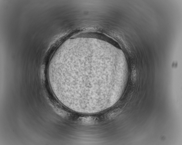 X0000096180688200802151442