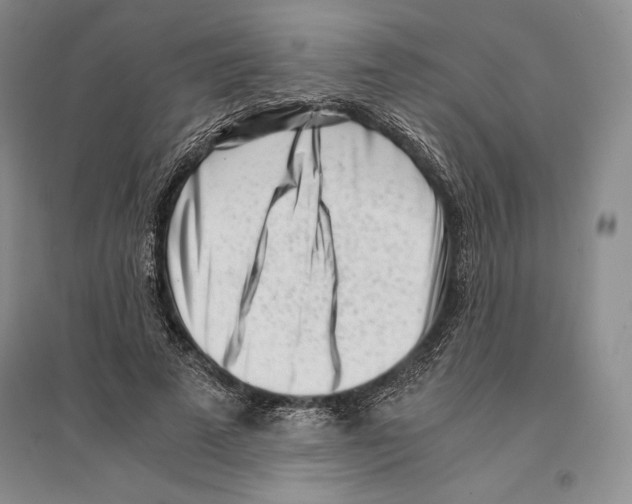 X0000096180689200802151442