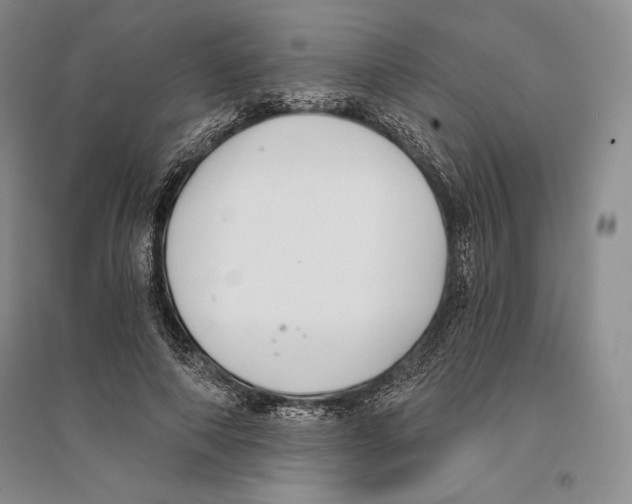 X0000096180690200802151442