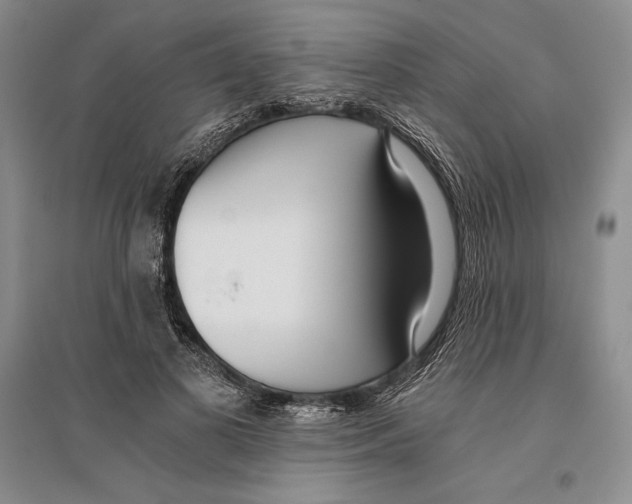X0000096180693200802151442