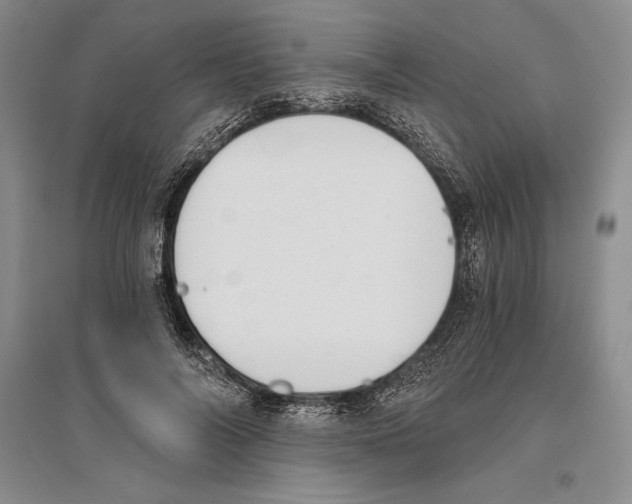 X0000096180694200802151442