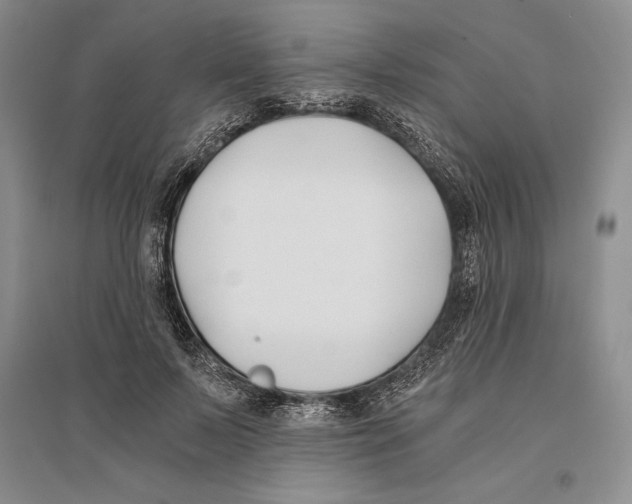 X0000096180695200802151441