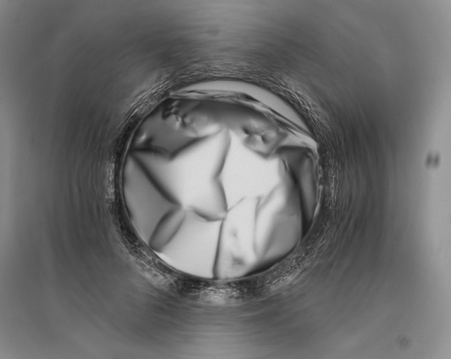 X0000096180696200802151441