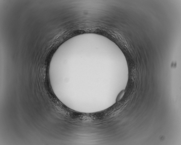 X0000096180697200802151441