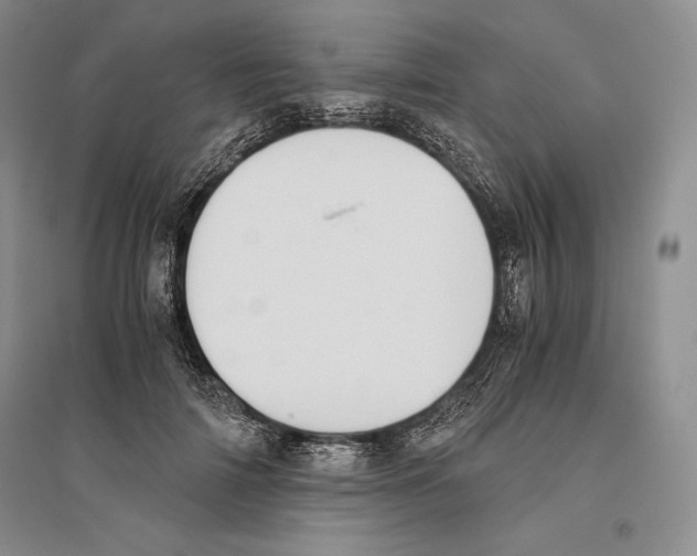 X0000096180698200802151441