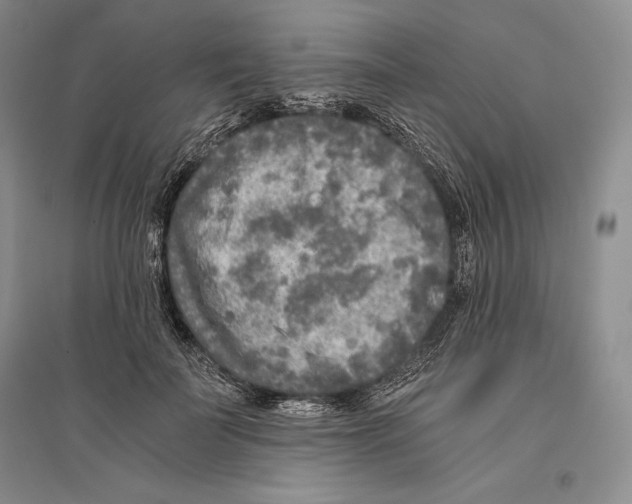 X0000096180699200802151441