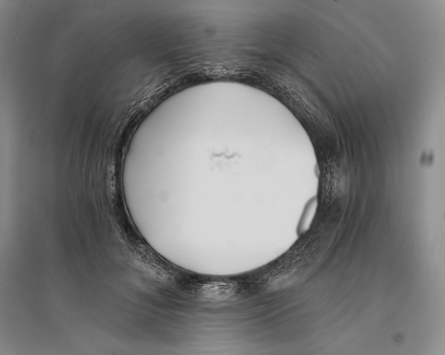 X0000096180700200802151441