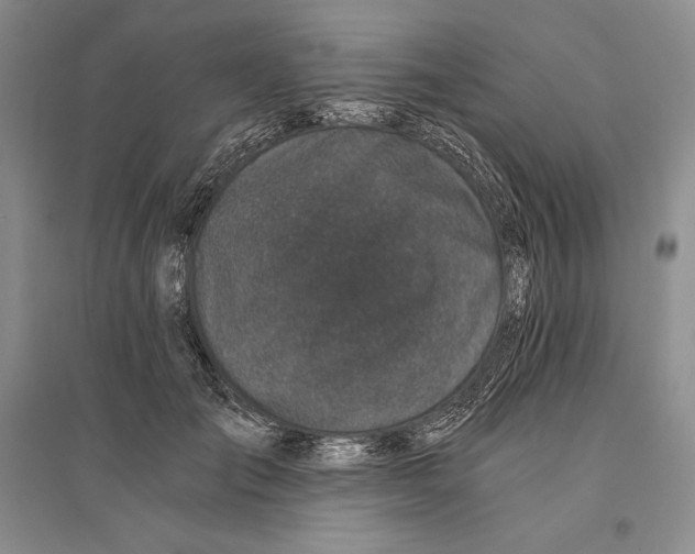 X0000096180701200802151441