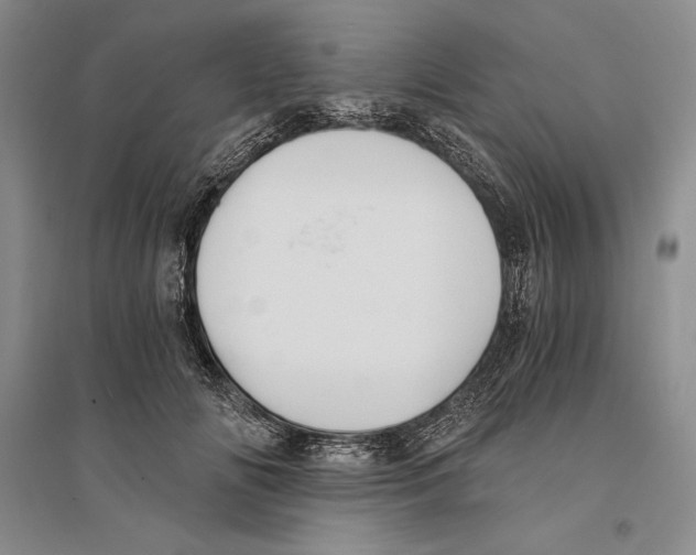 X0000096180702200802151441