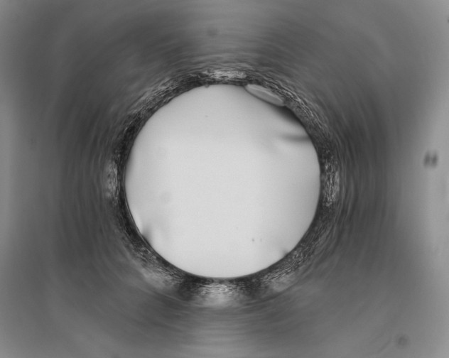 X0000096180704200802151441