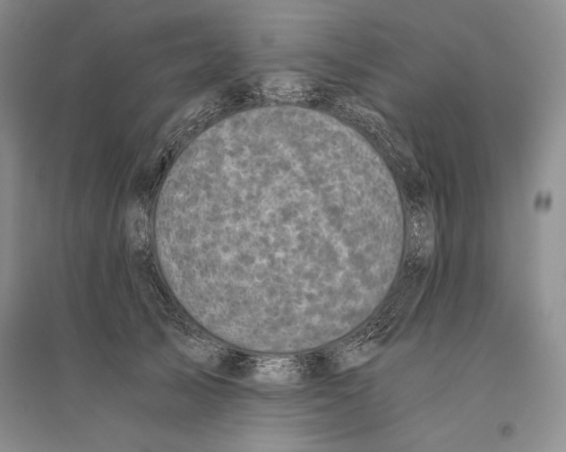 X0000096180705200802151441