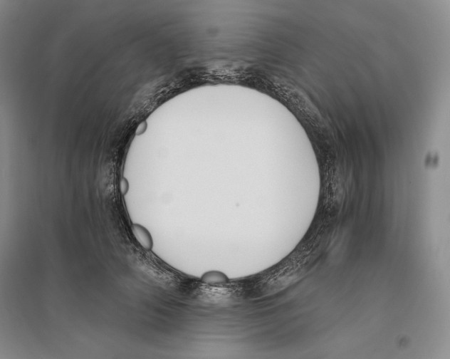 X0000096180706200802151441