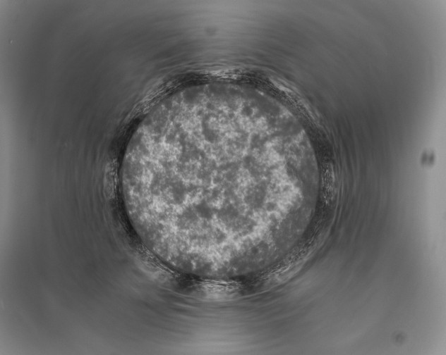 X0000096180707200802151441