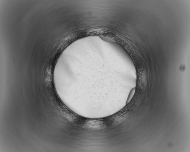 X0000096180708200802151441