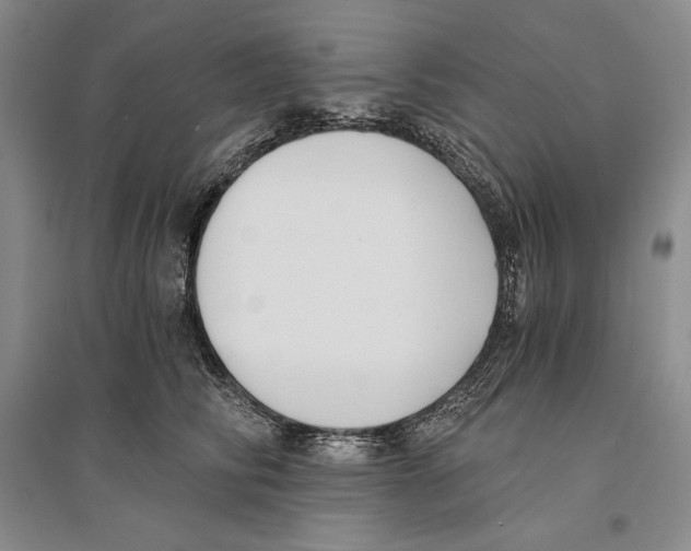 X0000096180710200802151441