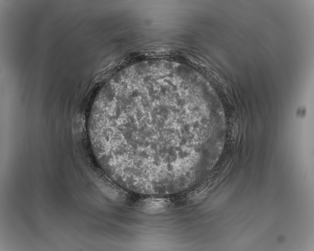 X0000096180711200802151441