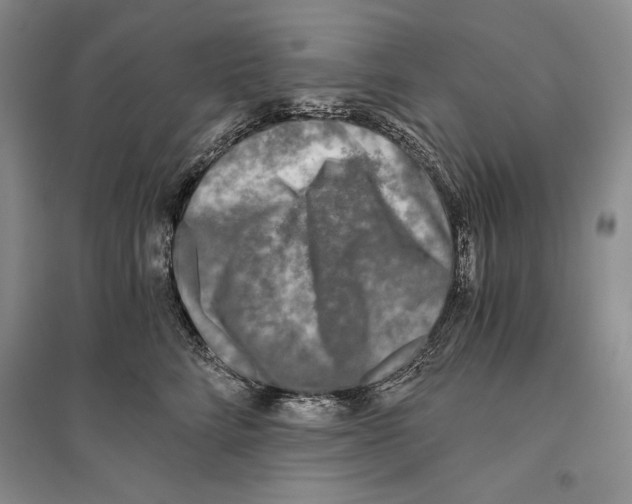 X0000096180712200802151441