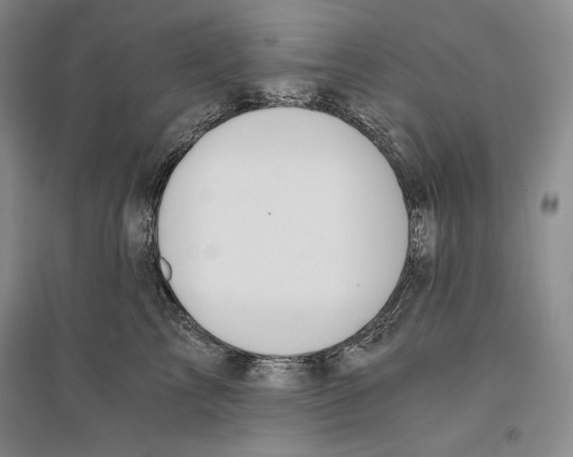 X0000096180713200802151441