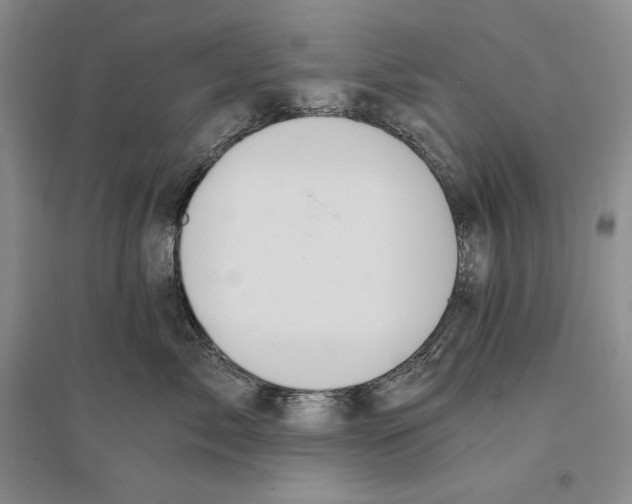 X0000096180717200802151441