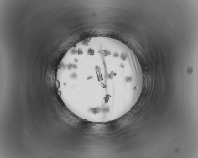 X0000096180718200802151441